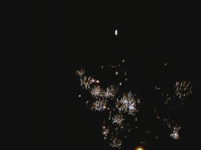 fireworks20040042.jpg